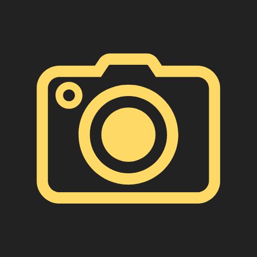 Sharpening the Focus: A 52-Week Commitment to Photography